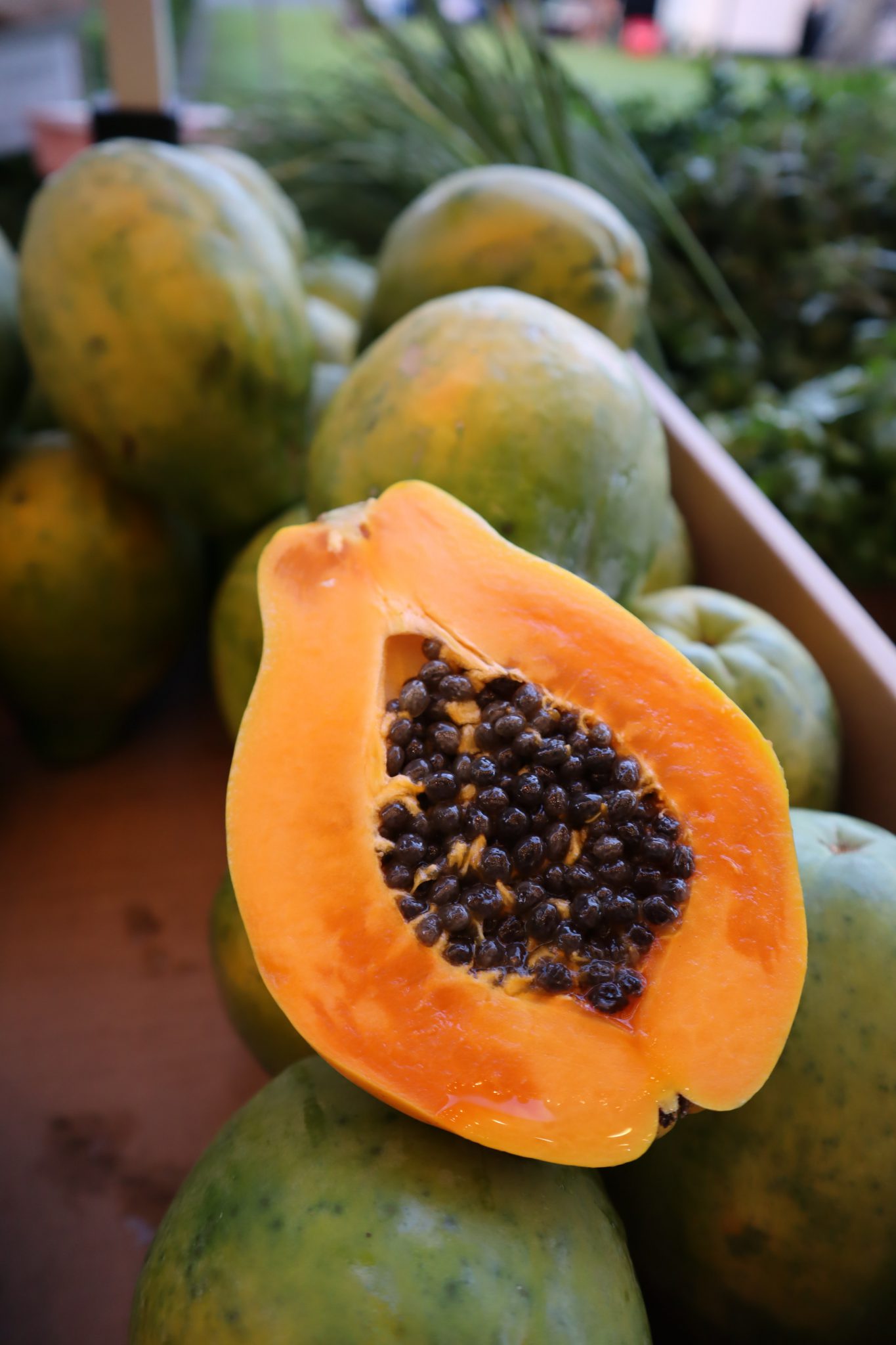 Fresh Papaya Sali Farm Uganda Ltd